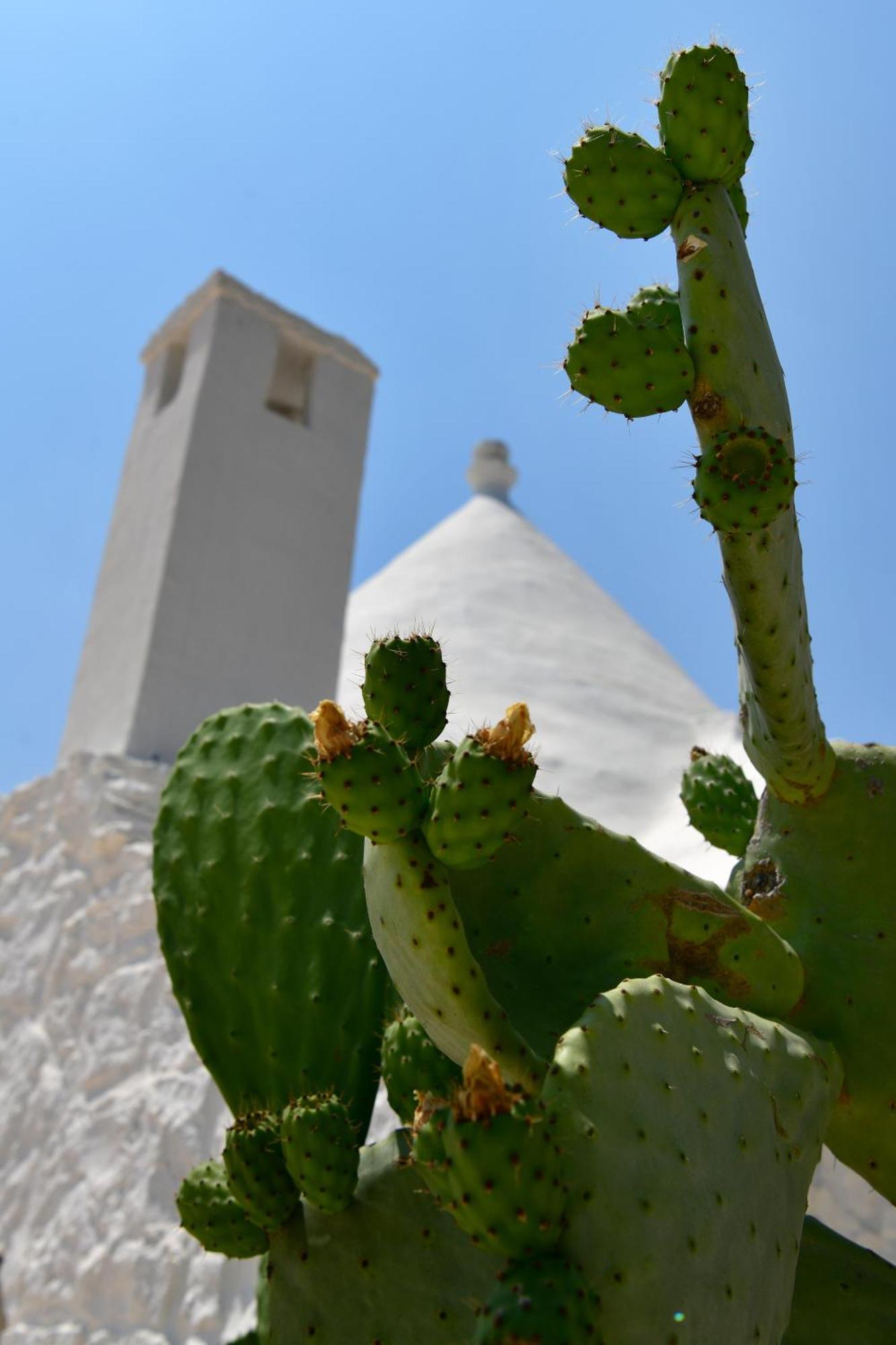 Il Trullo Bianco - Country House & Spa Castellana Grotte Exterior photo